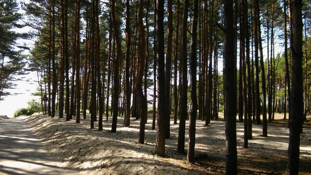 Ferienwohnung Jauki Vieta Poilsiui Kunigiskese Palanga Exterior foto